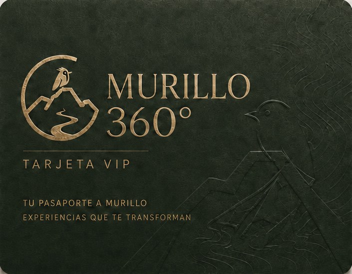 Tarjeta VIP Murillo 360